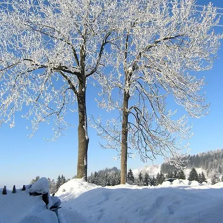 Guest house U Zaby *