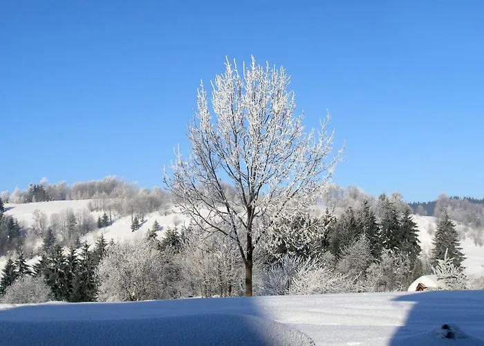 Penzion U Zaby Zwardoń